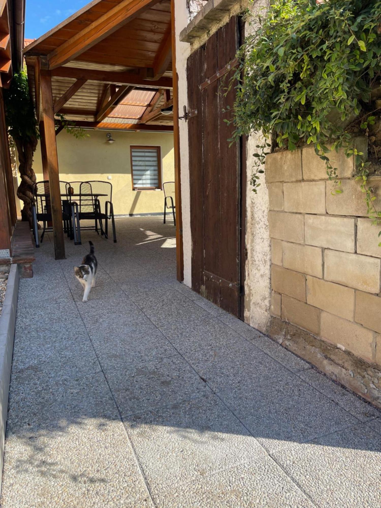 Penzion Trojna Lednice-Vhodne Na Svatby,Rodinne Akce,Teambuilding Εξωτερικό φωτογραφία